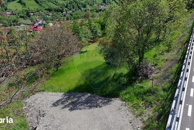 Teren de 1431 mp, în Moieciu - 4