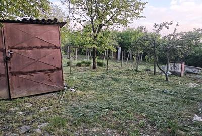 Casă cu 2 camere cu Teren 800 Mp în Paleu - 2