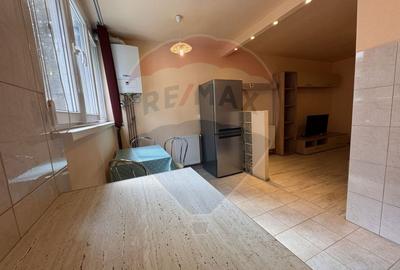 Apartament cu 1 camere, mobilat în Grigorescu - 10