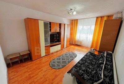 Apartament cu 2 camere decomandat în Craiovița Nouă