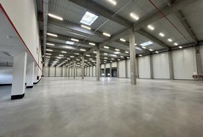 Spațiu industrial, de 4,000 mp, în Palas - 1