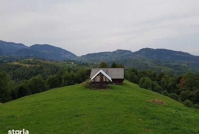 Teren de 38000 mp, în Central - 3