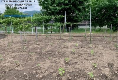 Casă cu 2 camere cu Teren 900 Mp în Central