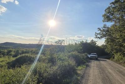 Teren agricol extravilan de 2600 mp, în Dealuri Oradea - 3