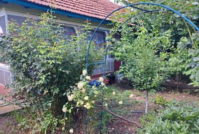 Casă cu 4 camere în Sinești - 1