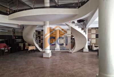 Casă individuală cu 8 camere cu Teren 4500 Mp în Măgura - 2