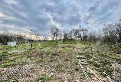 Casă cu 2 camere cu Teren 793 Mp în Galda de Jos - 5