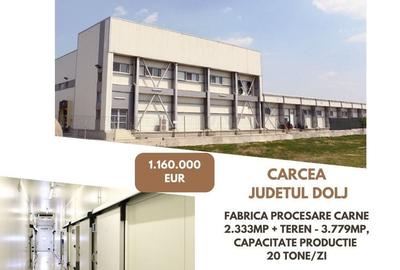Spațiu comercial, de 2,333 mp, în Cârcea - 2