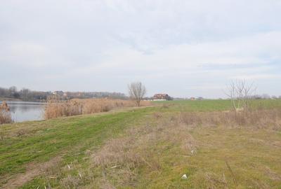Teren Construcții intravilan de 1000 mp, în Frumușani - 7