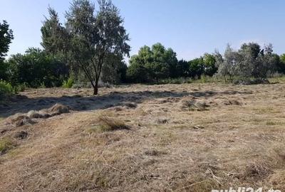 Teren de 6800 mp, în Central - 1