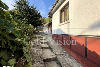 Casă cu 3 camere cu Teren 1560 Mp în Tudor Vladimirescu