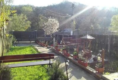 Casă cu 3 camere în Central
