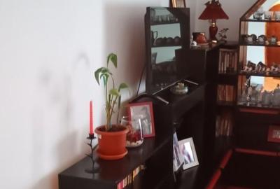Apartament cu 3 camere decomandat în Drumul Carului - 8