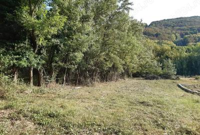 Teren de 11510 mp, în Marginea - 5