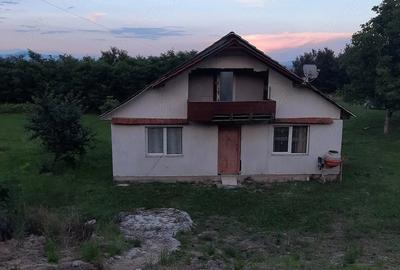 Casă cu Teren 2900 Mp în Ardusat - 3