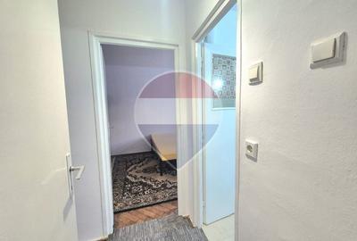 Apartament cu 2 camere semidecomandat, mobilat în Podgoria - 13