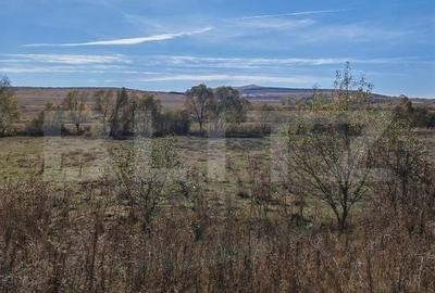 Teren de 9000 mp, în Petrești
