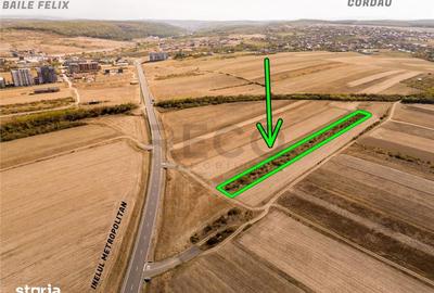 Teren de 5700 mp, în Sânmartin