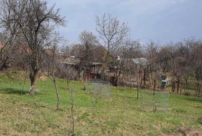 Teren de 1214 mp, în Dealul Malului - 3