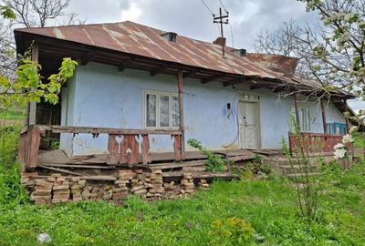 Casă cu 2 camere în Mateieni