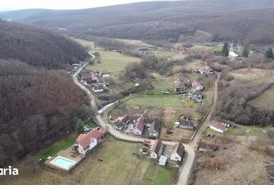 Casă cu 4 camere cu Teren 1625 Mp în Păuliș - 1