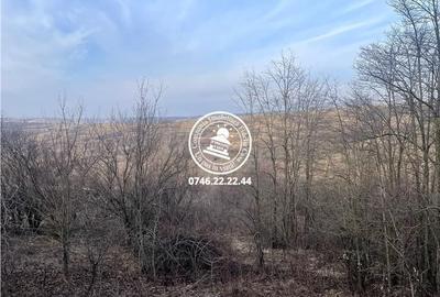 Spațiu comercial, în Breazu