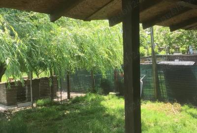Casă cu 3 camere cu Teren 1748 Mp în Checea - 1