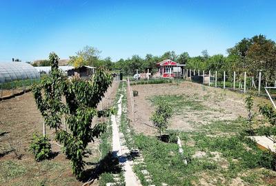 Casă cu Teren 1600 Mp în Central - 1