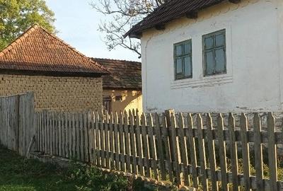 Casă cu Teren 7000 Mp în Fâșca - 1