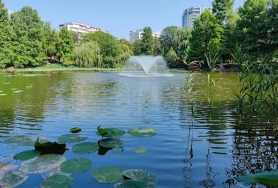 Casă cu 4 camere cu Teren 200 Mp în Parcul Circului