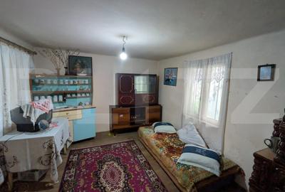 Casă individuală cu 3 camere cu Teren 2540 Mp în Bucșani