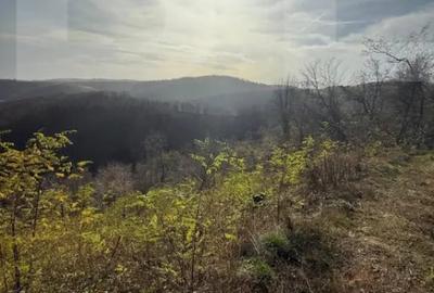 Teren de 8271 mp, în Cerbăl