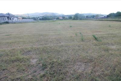 Teren Construcții intravilan de 2970 mp, în Exterior Vest - 8