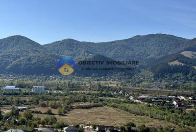 Teren Construcții de 2217 mp, în Viișoara - 10