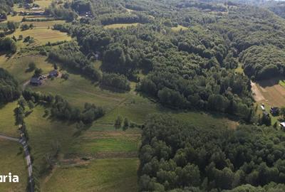 Teren de 38781 mp, în Râșca - 1