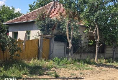 Casă cu 4 camere cu Teren 2676 Mp în Ciumeghiu - 3