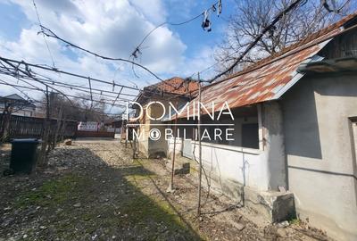 Casă individuală cu 3 camere cu Teren 3557 Mp în Arcani - 4