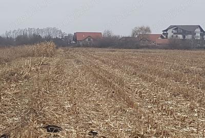 Teren de 2932 mp, în Stupini