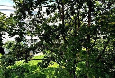 Apartament cu 3 camere decomandat în Gheorgheni - 1