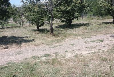Teren de 3000 mp, în Chicerea - 4