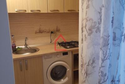Garsonieră decomandată, mobilată în Alexandru cel Bun