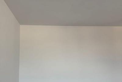 Duplex cu 4 camere cu Canalizare în Bălăceanca - 32