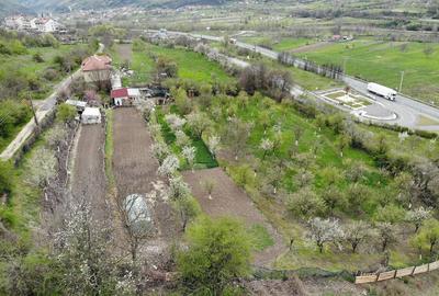 Teren de 5300 mp, în Mehadia - 2
