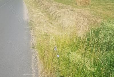 Teren de 7000 mp, în Săliște - 2