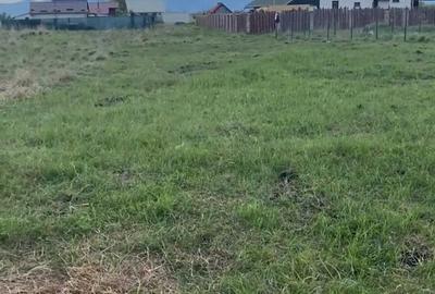 Teren de 650 mp, în Hărman - 2