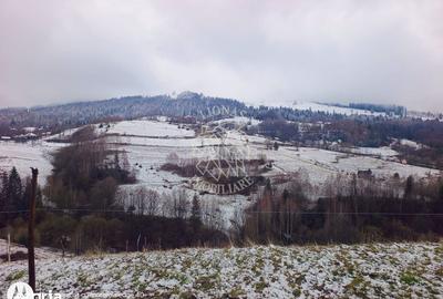 Teren de 8335 mp, în Săcuieu - 7