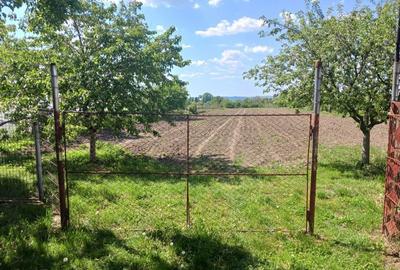 Casă cu 3 camere în Verguleasa - 5