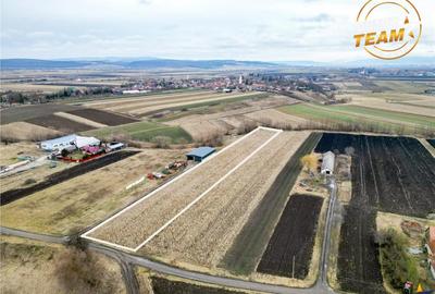 Teren de 5800 mp, în Dobolii de Jos - 5