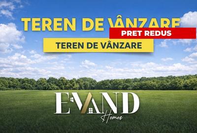 Teren Construcții intravilan de 580 mp, în Bucovăț (Remetea Mare) - 1