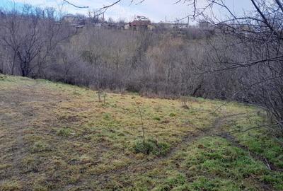 Teren de 2160 mp, în Vârlezi - 5